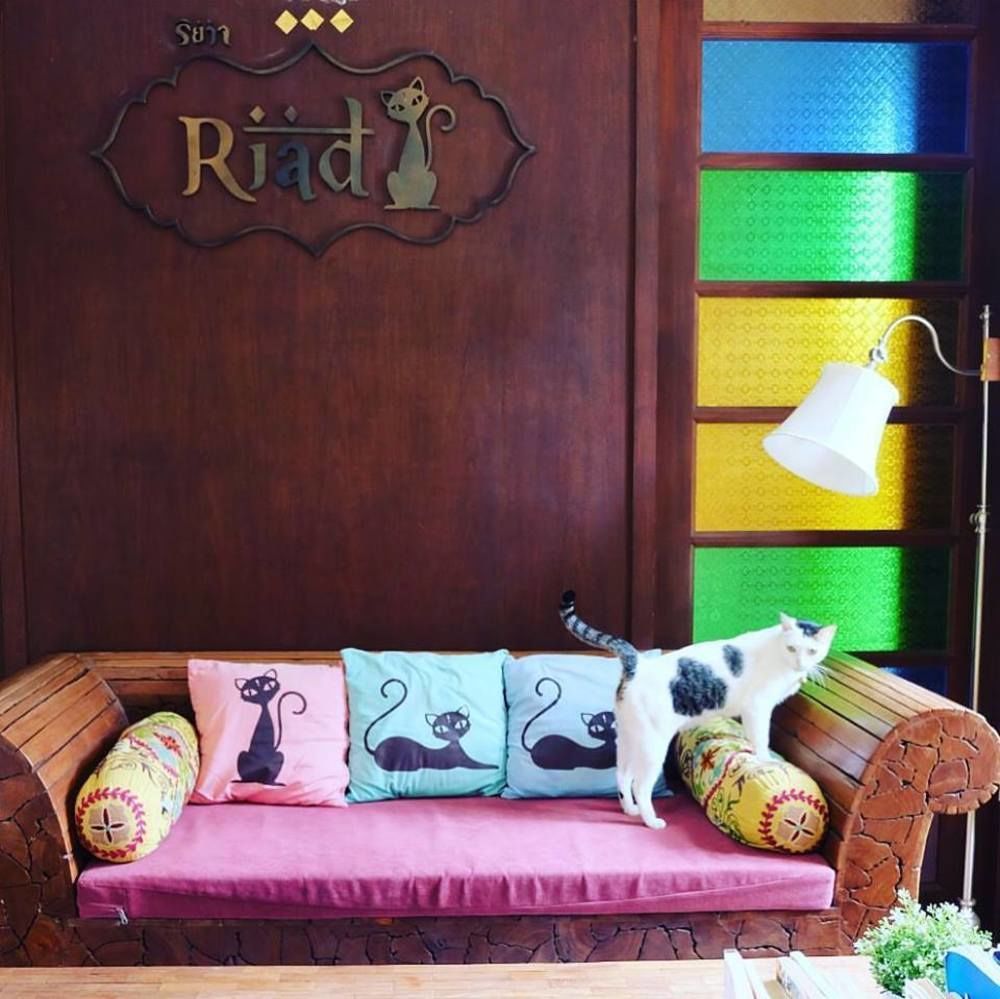 Riad HHQ Exteriör bild